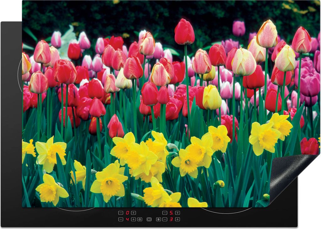 KitchenYeah Herdabdeckplatte Frühling - Tulpen - Narzissen , 75x52cm, Küche Deko, Glaskeramikfeld Herdabdeckung, Abdeckplatte fùr Kochfeld