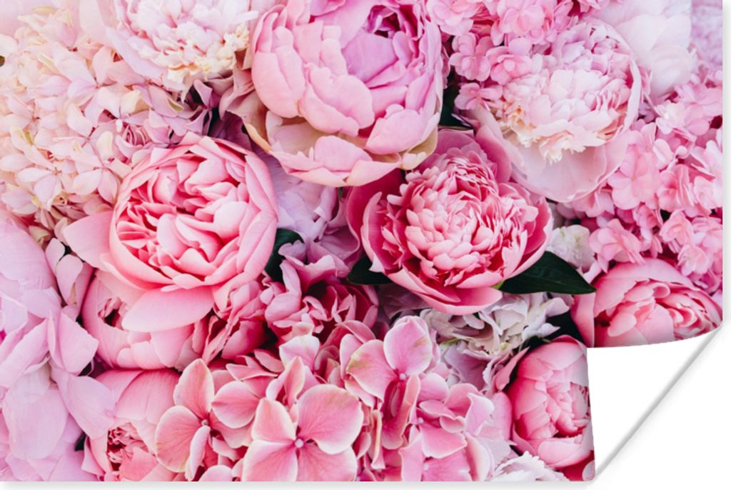 MuchoWow Poster Blumen - Rosa - Rosen 60x40 cm - Schlafzimmerdekoration