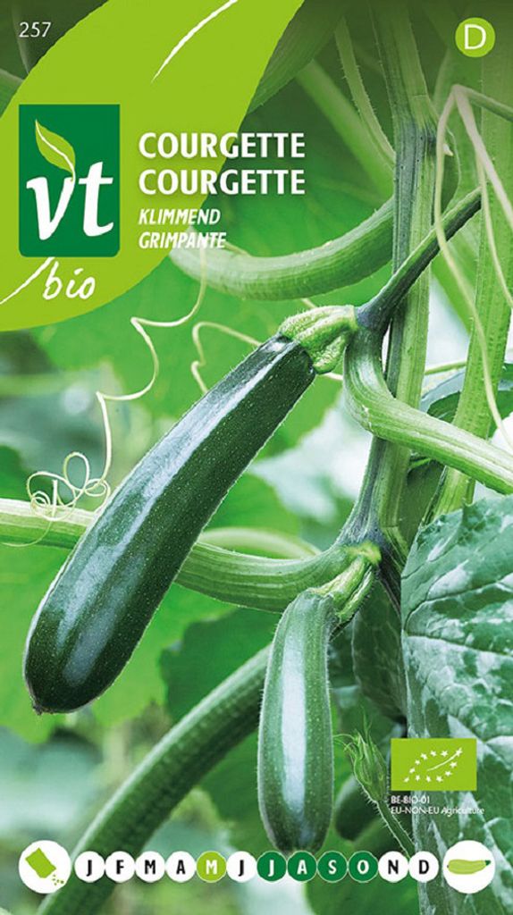 Zucchini Kletter Samen - Ca. 1 gr | VT_257 Produktbild 