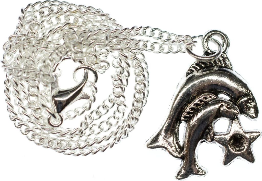 Fische Stern Kette Halskette Miniblings 45cm Sternzeichen Produktbild 