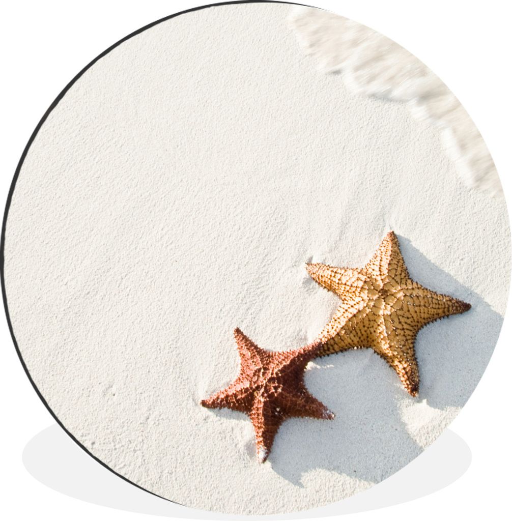 MuchoWow Aluminium Wandkreis Seestern - Sand - Wasser Ø 30 cm Wanddeko Modern Wohnzimmer - Wand Bild - Wohnzimmer - Runde Bilder - Alubilder - K...