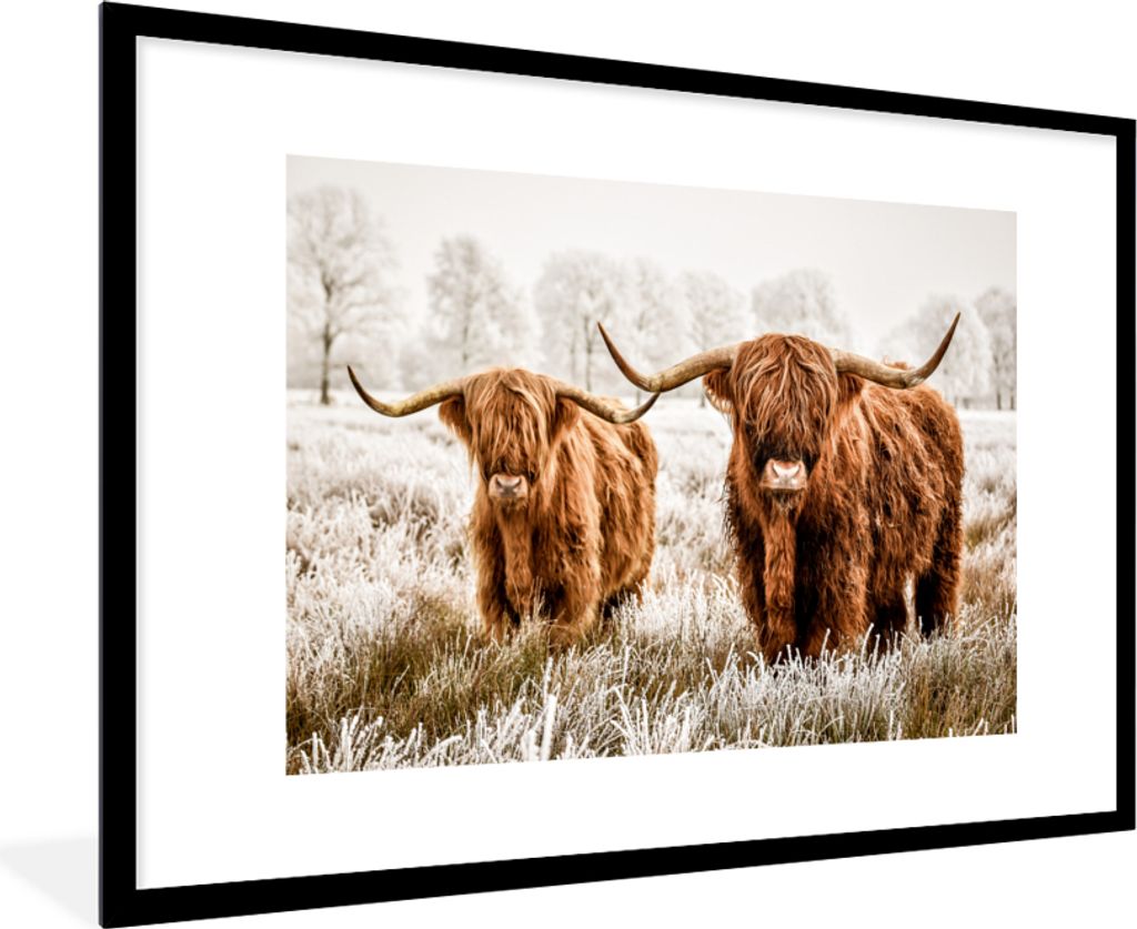 MuchoWow Gerahmtes Poster Schottischer Hochländer - Kuh - Tiere - Natur - Heidekraut 90x60 cm - Poster mit Schwarzem Bilderrahmen Wandposter Rah...
