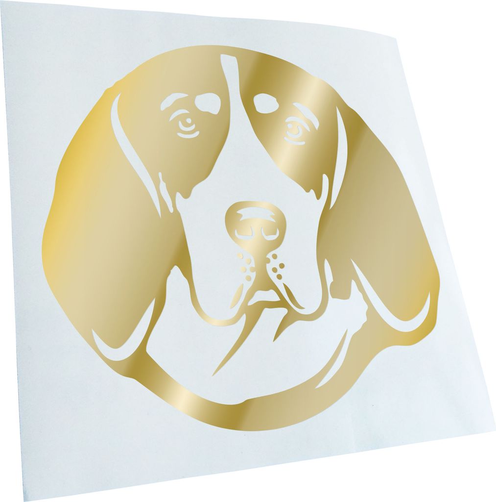 Kiwistar - Autoaufkleber - American English Coonhound - Goldchrom - 50x45cm - Aufkleber für Auto, Laptop, Fahrrad, LKW, Motorrad mehrfarbig JDM De...