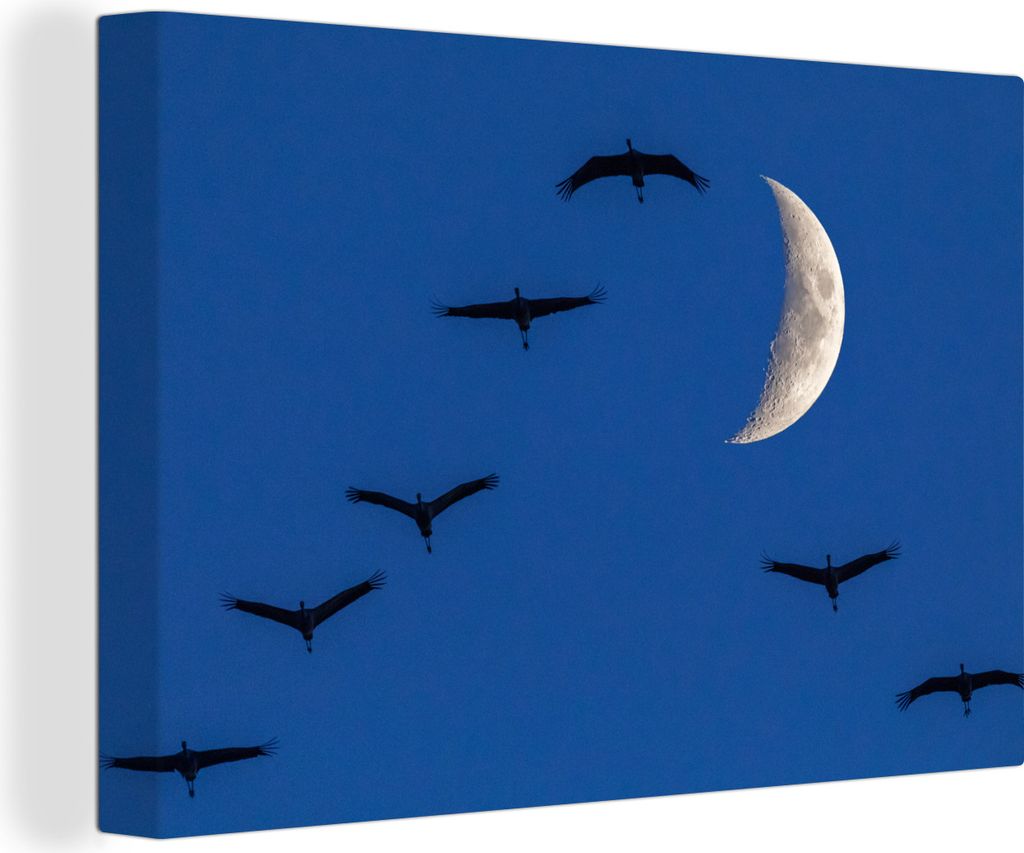 OneMillionCanvasses - Leinwandbilder - 150x100 cm, Europäische Kraniche fliegen vor dem Mond, Wandbilder Kunstdruck Wanddekoration