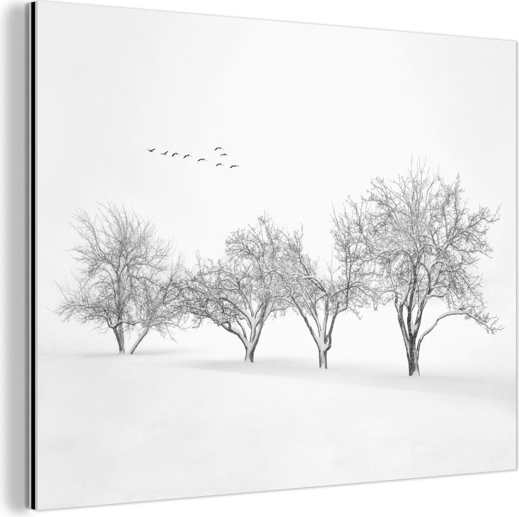 MuchoWow Wanddekoration Metall Metallbild Wandkunst 80x60 cm Bäume - Schwarz und weiß - Natur - Vögel MuchoWow Aluminium Gemälde - Alubild