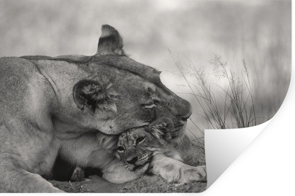 MuchoWow - Wierderverwendbar - Selbstklebend