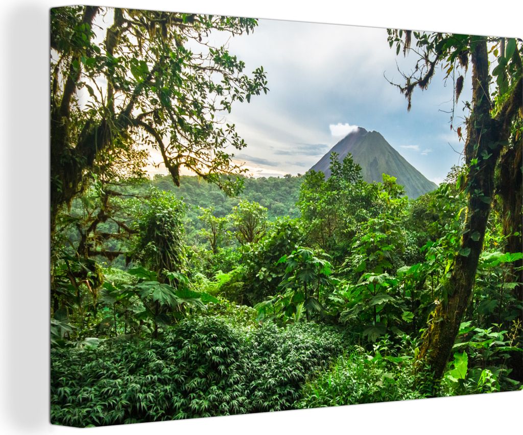 OneMillionCanvasses - Leinwandbilder - 140x90 cm, Dschungel - Baum - Vulkan - Jungen - Mädchen - Kind, Wandbilder Kunstdruck Wanddekoration