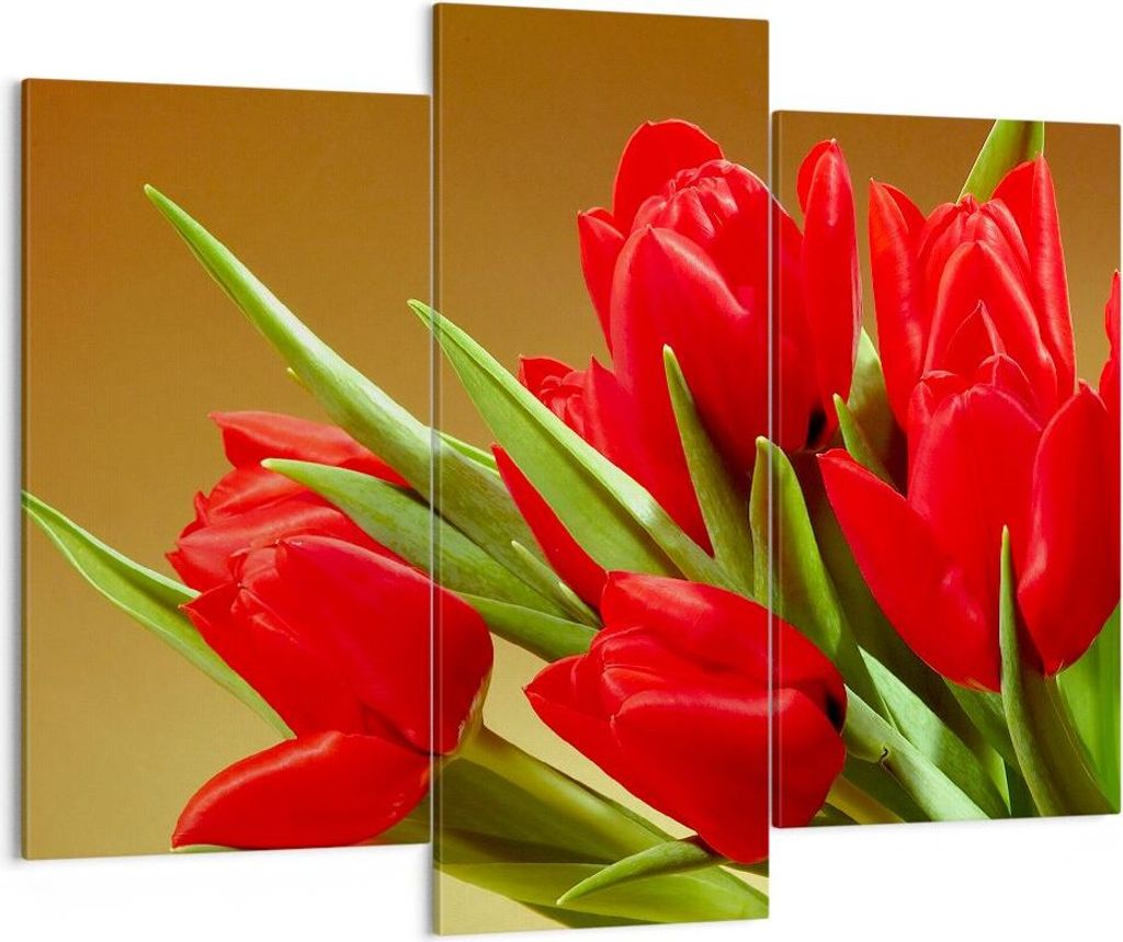 Bild auf Leinwand - Leinwandbild - Tulpen Blumen Feld Plantage - 130x100cm - Wand Bild - Wanddeko - Leinwanddruck - Bilder - Kunstdruck - Wanddekor...