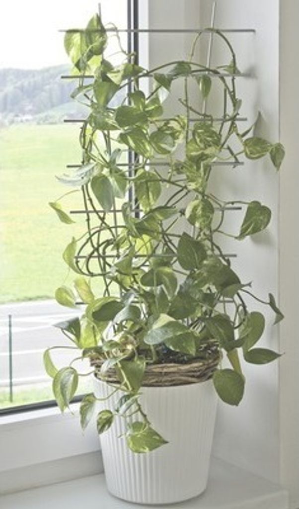 Mřížka na květiny FloraSelf 24 x 44 cm stříbrná Obrázek produktu 
