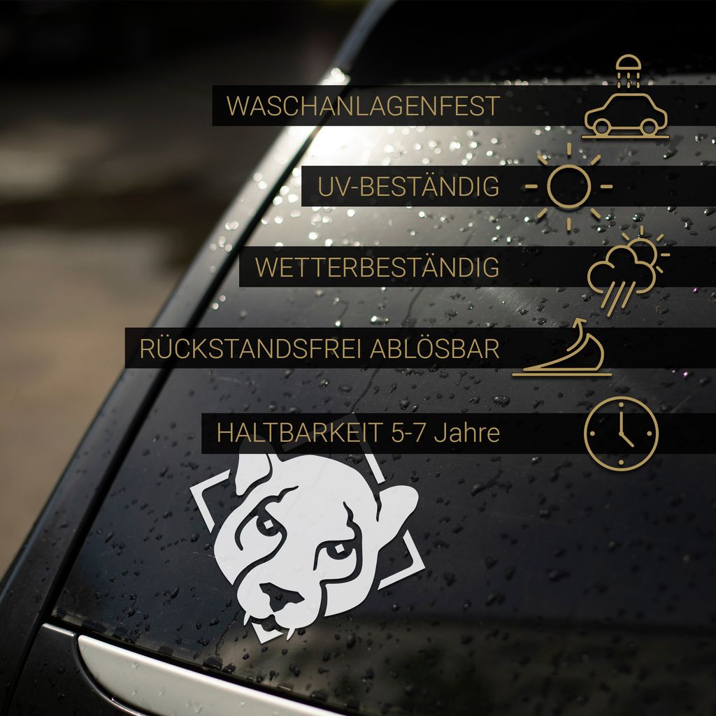 PantherPixel Elektrisch Aufkleber Fahre Ich Auf Der Kirmes Sticker Auto Geschenkidee Farbe Weiss