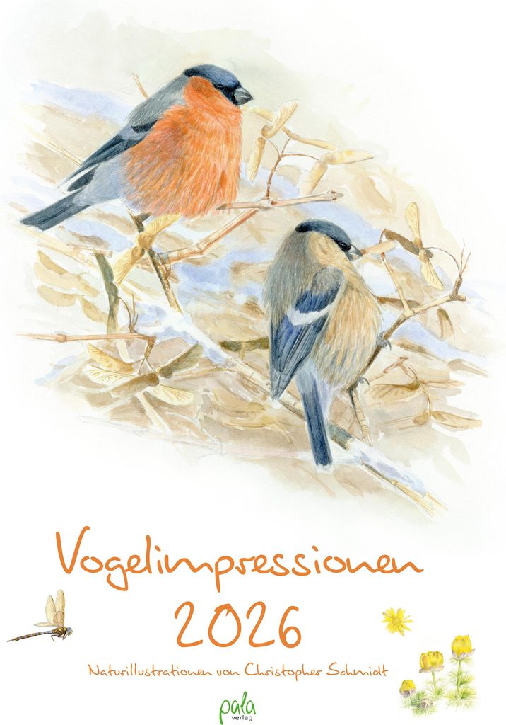 Vogelimpressionen 2026