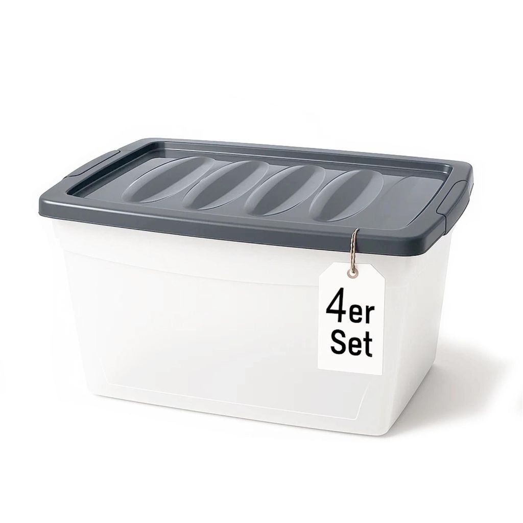 BigDean 4x 60 L Boîte de rangement avec couvercle grande Image du produit 