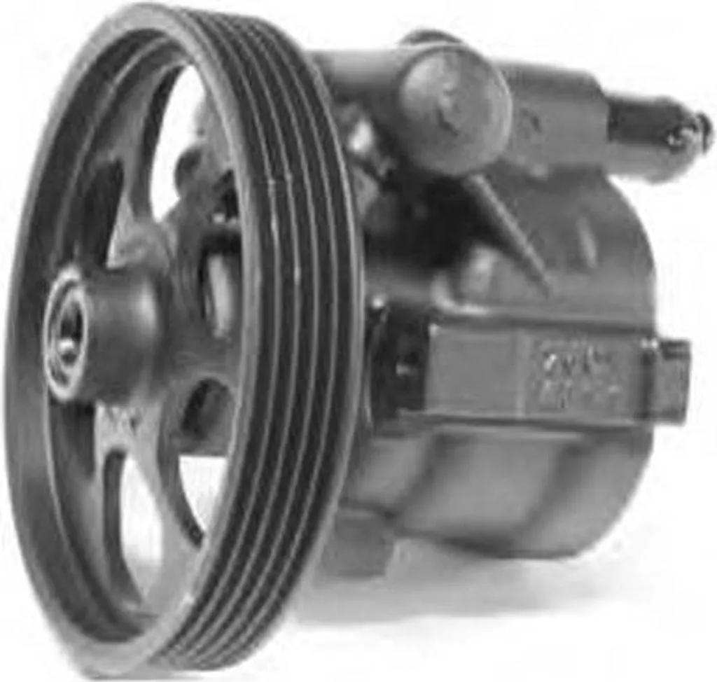 Supprimer bruit direction avec pompe hydraulique PI1172 pour Master et S40