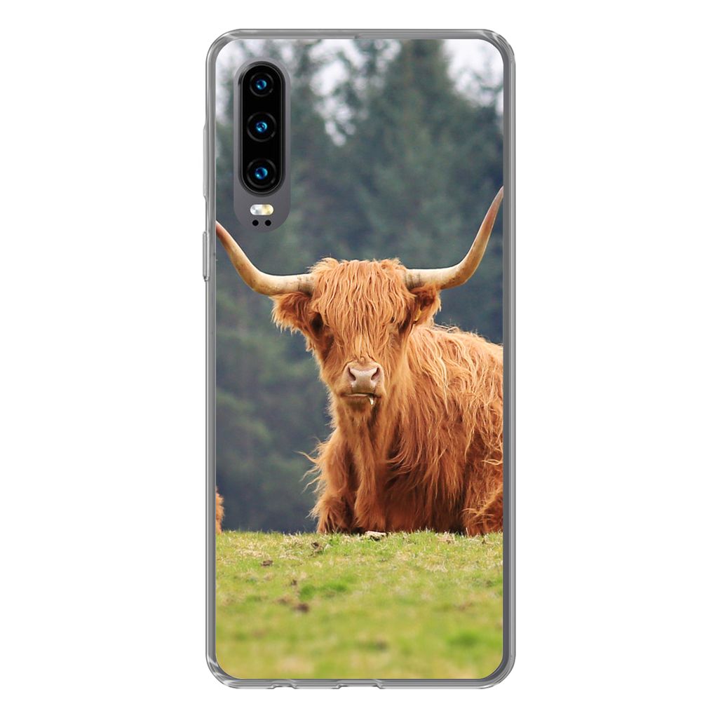 MuchoWow Handyhülle Schutzhülle Hülle für Huawei P30 Schottische Highlander - Gras - Wald Silikon Softcase Handy Hülle - Kartenbesitzer
