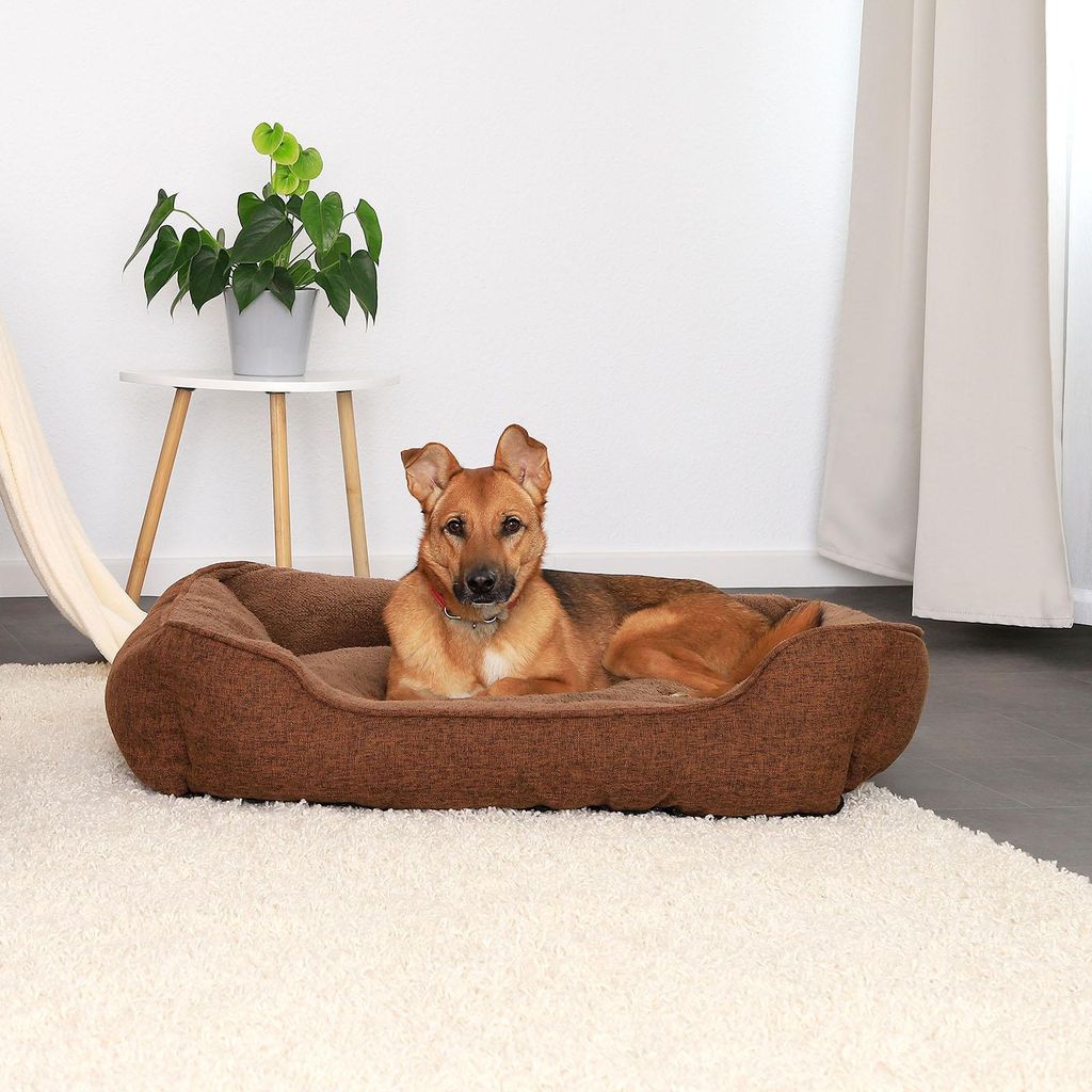 lionto Hundesofa, modernes Hundebett mit rutschfester Unterseite, abnehmbarem Bezug & Plüsch-Innenmaterial, 90x75 cm, braun