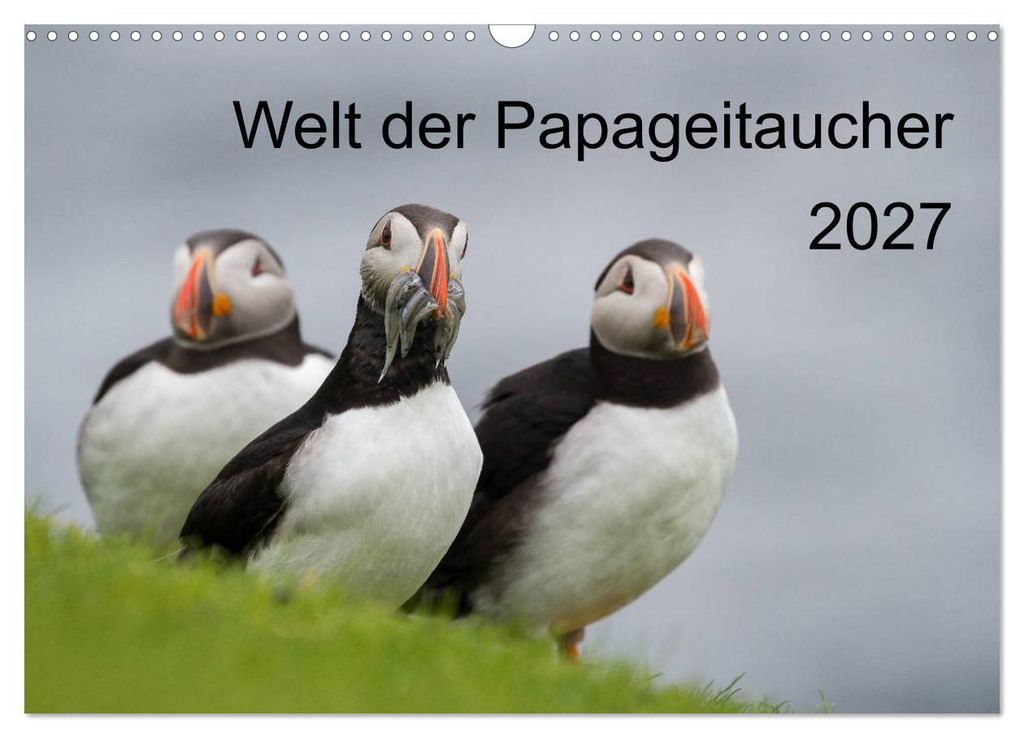 Welt der Papageitaucher (Wandkalender 2027 DIN A3 quer), CALVENDO Monatskalender