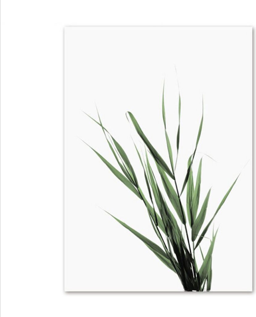 TPFLiving Kunstdruck LW-42 (OHNE RAHMEN) Poster - Leinwand - Wandbild - Hochauflösender Giclée-Druck, langlebig und hochwertig - Blumen und Blät...