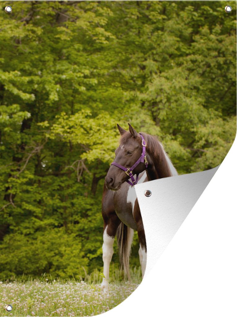 MuchoWow 60x80 cm Outdoor-Poster Gartendeko Sichtschutz Garten Poster für den Garten Pferd - Bäume - Blumen