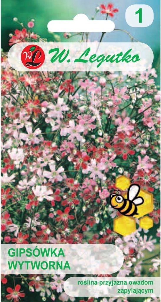 Samen von Gypsophilia exquisite mieszanka 1g - W.Legutko Produktbild 