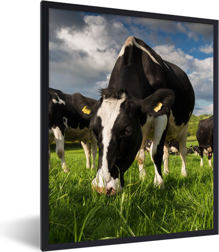 MuchoWow Gerahmtes Poster Kühe - Tiere - Gras - Wiese - Bauernhof 30x40 cm - Poster mit Schwarzem Bilderrahmen Wandposter Rahmen Foto Bilder - W...