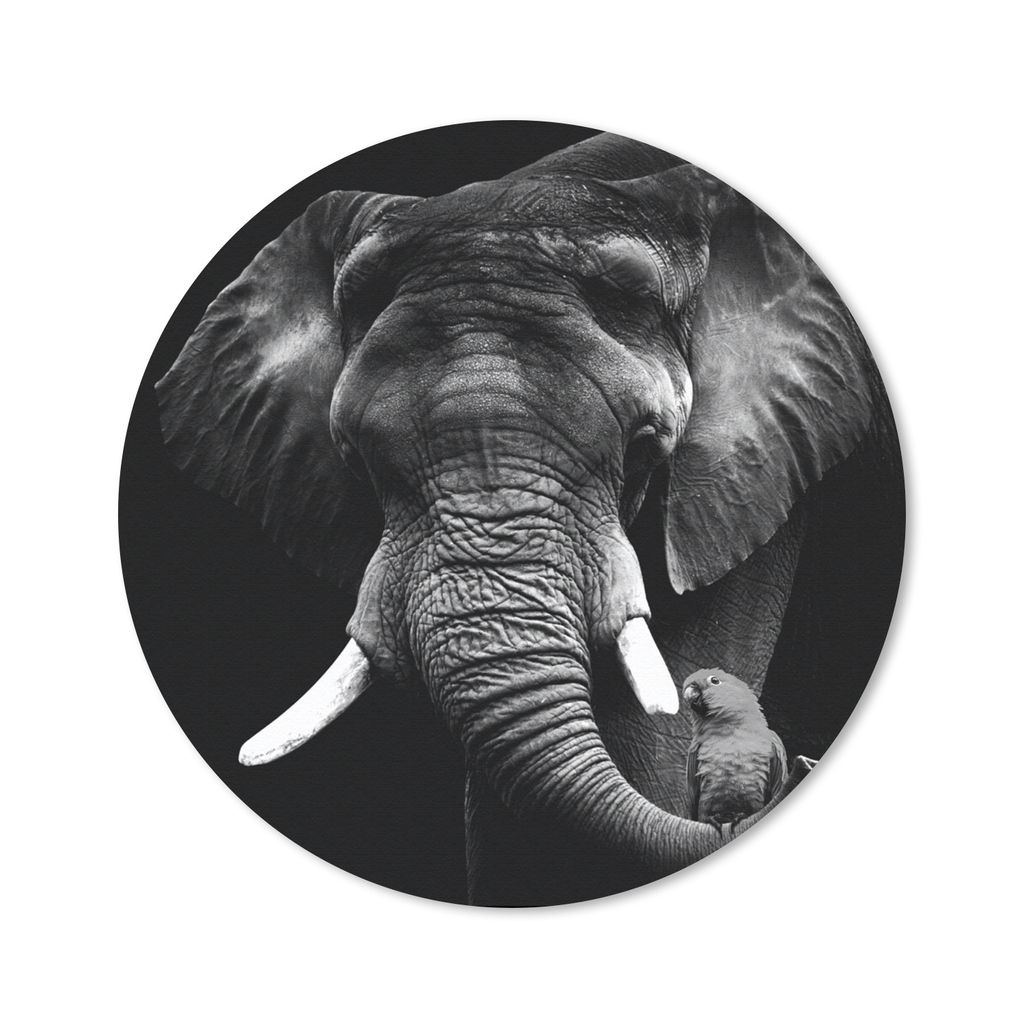 MuchoWow Mauspad Mousepad Elefant - Papagei - Zähne - Schwarz - Weiß 40x40 cm - Mousepads - Maus Mat - Pad - Mausunterlage - Schreibtisch Acces...