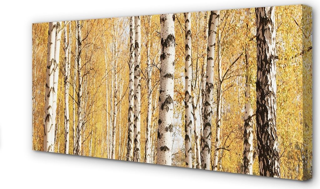 Leinwandbild 120x60 Wandkunst Bäume im Herbst