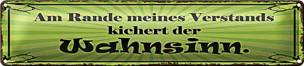Blechschild Spruch 46x10cm Am Rande Verstands Wahnsinn Dekoration