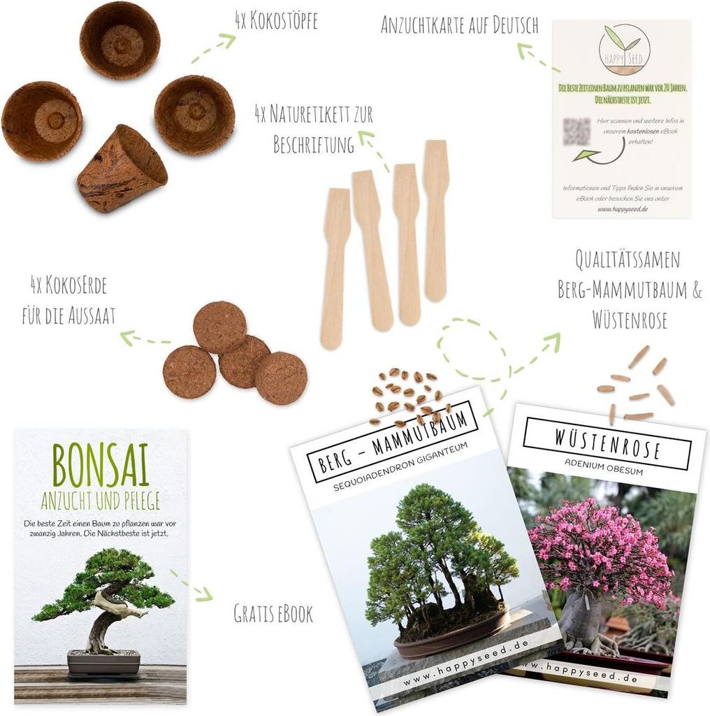 Bonsai Starter Kit: Wstenrose & Berg Mammutbaum
