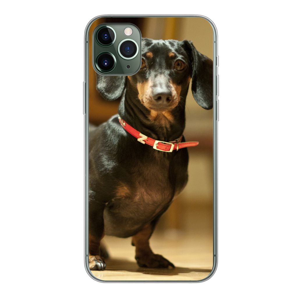 MuchoWow Handyhülle Schutzhülle Hülle für iPhone 11 Pro Max Porträt eines schwarzen Dackels Silikon Softcase Handy Hülle - Schutz