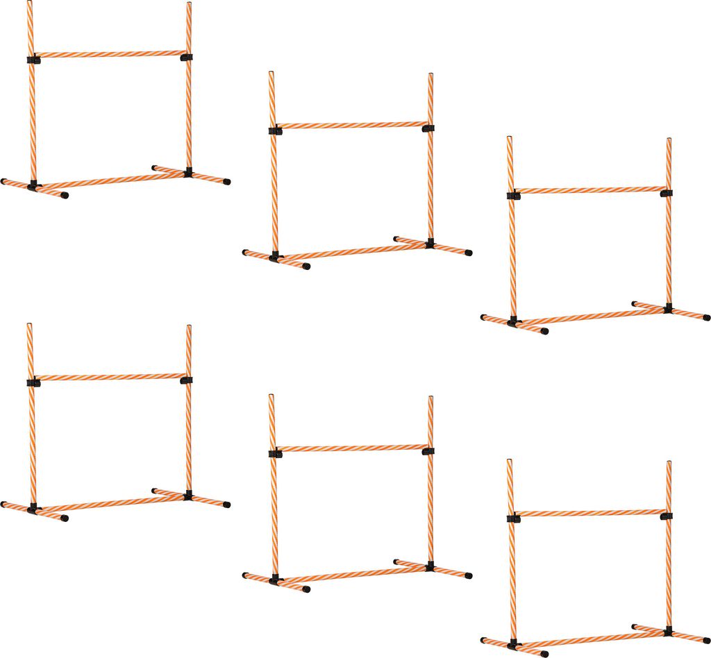 Set Agility Per Cani 9 Pezzi PawHut, Con Ostacoli, Cerchio, Slalom, Palline E Borsa Trasporto