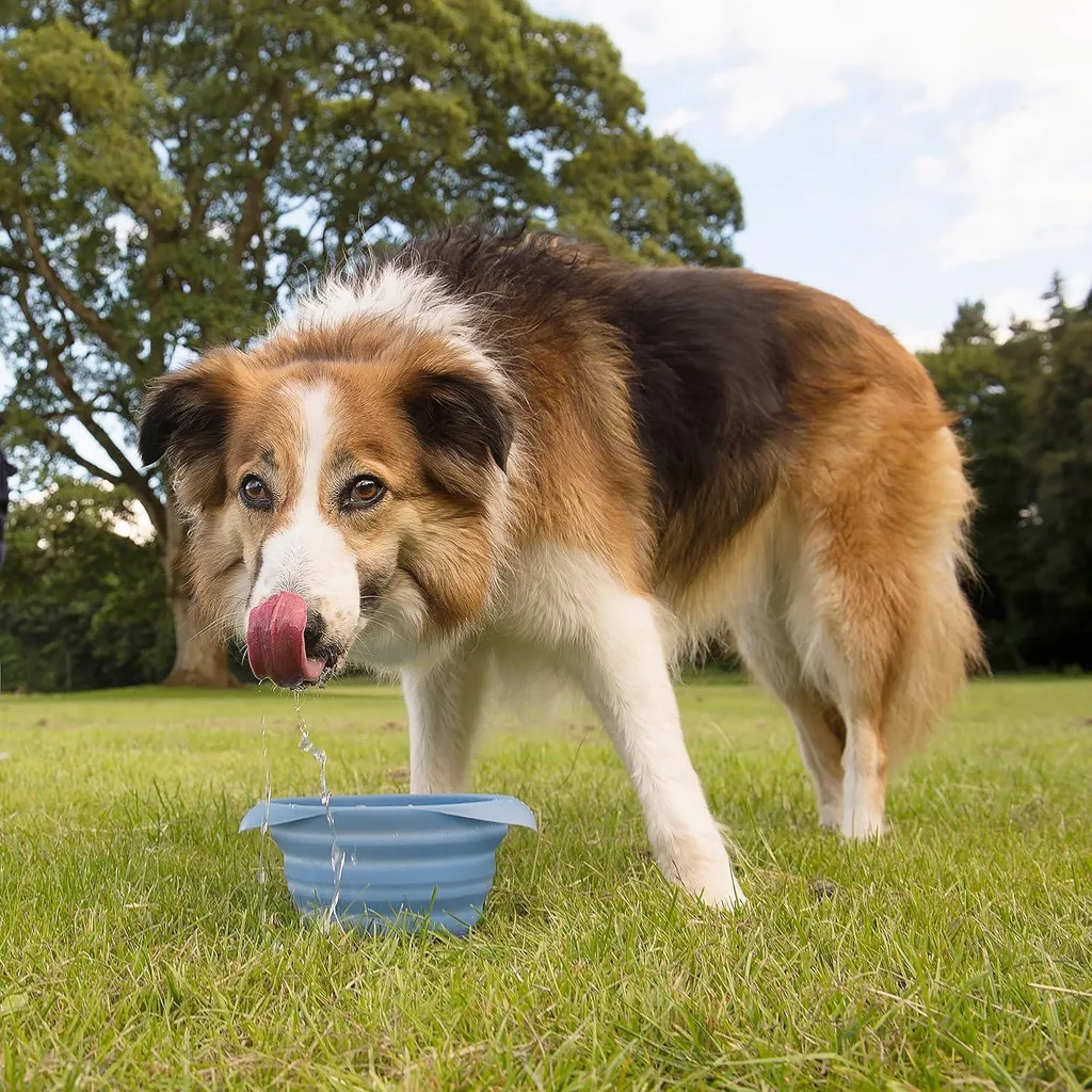 Gamelle silicone sans BPA pour chien 700 ml - Pliable et Étanche - 2