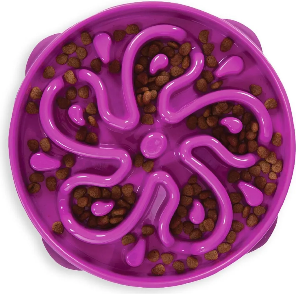 Gamelle Anti-Glouton pour Chien Fun Feeder Slo Bowl Violette et Large