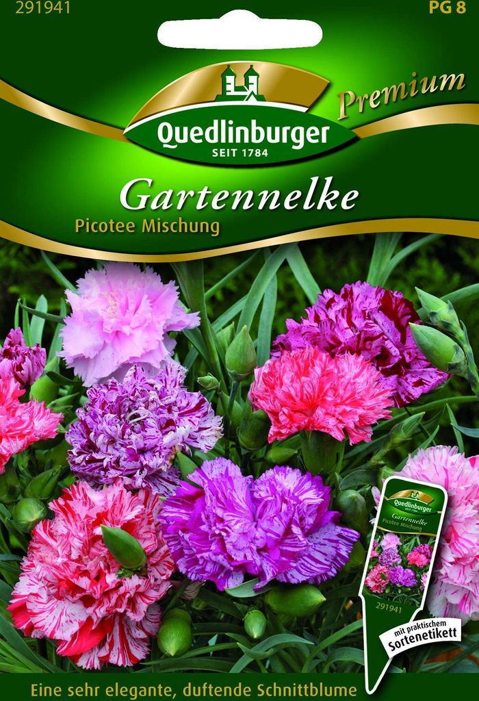 Gartennelken, Picotee Mischung Produktbild 