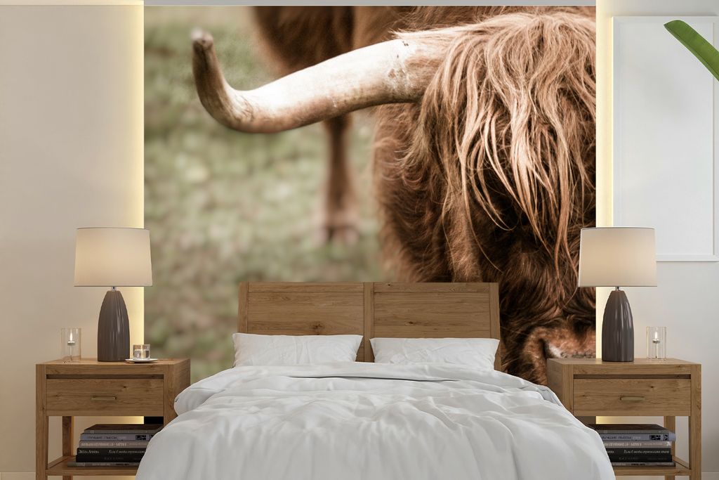 MuchoWow Fototapete für Wohnzimmer oder Schlafzimmer Wandtapete Vinyl Motivtapete Schottischer Highlander - Nahaufnahme - Hoorn - 280x280 cm - H...