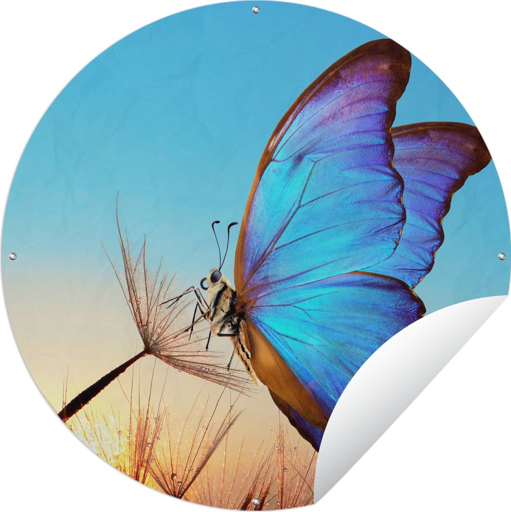 MuchoWow Gartenposter Outdoor-Poster Rund Schmetterling - Löwenzahn - Blau Ø 150 cm Gartendeko Rundes Poster draußen