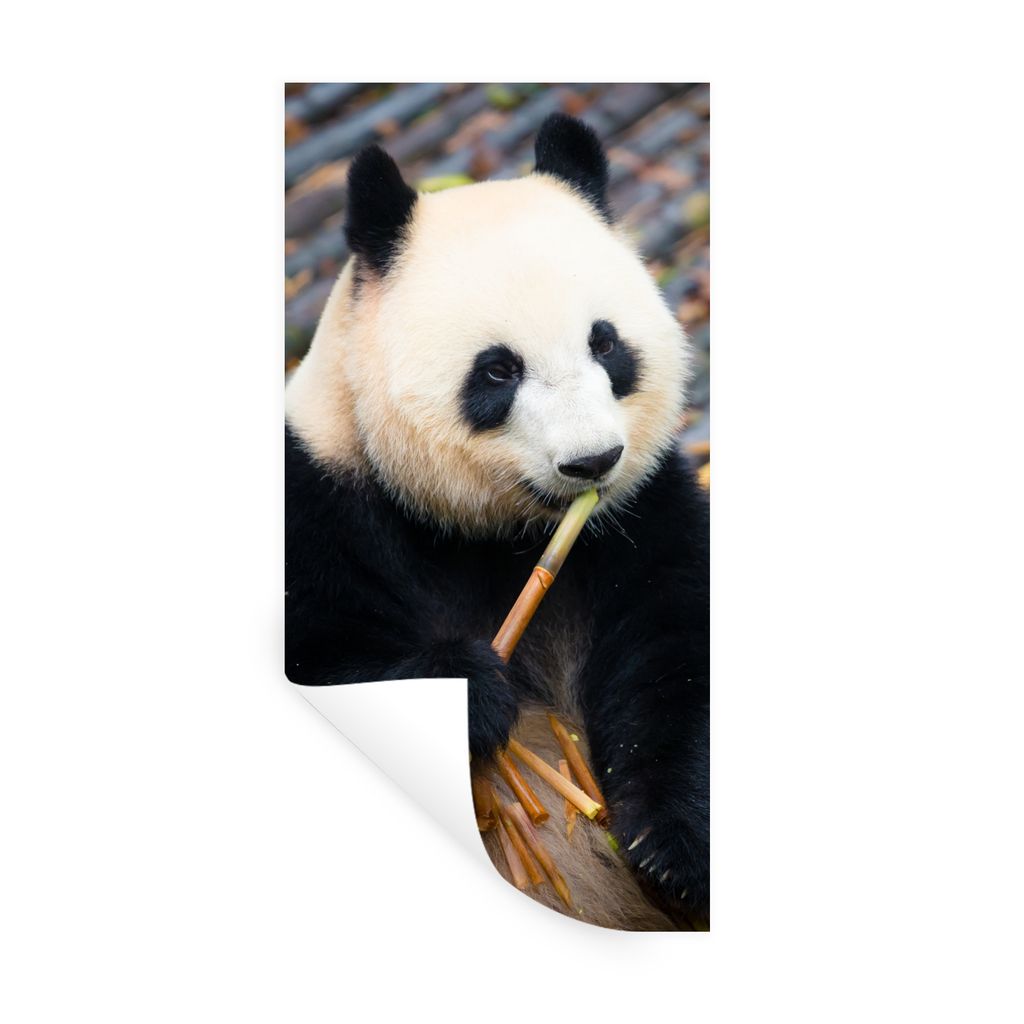 MuchoWow Wandtattoo Wandsticker Wandaufkleber Großer Panda - Bambus - Blätter 20x40 cm Selbstklebend und Repositionierbar - Selbstklebend - Fot...