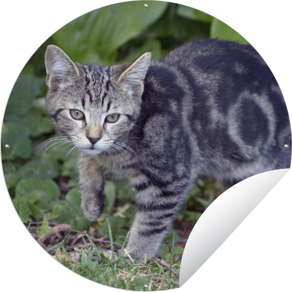 MuchoWow Gartenposter Outdoor-Poster Rund Katze - Haustier - Garten - Mädchen - Kinder - Kinder - Kind Ø 150 cm Gartendeko Rundes Poster draußen