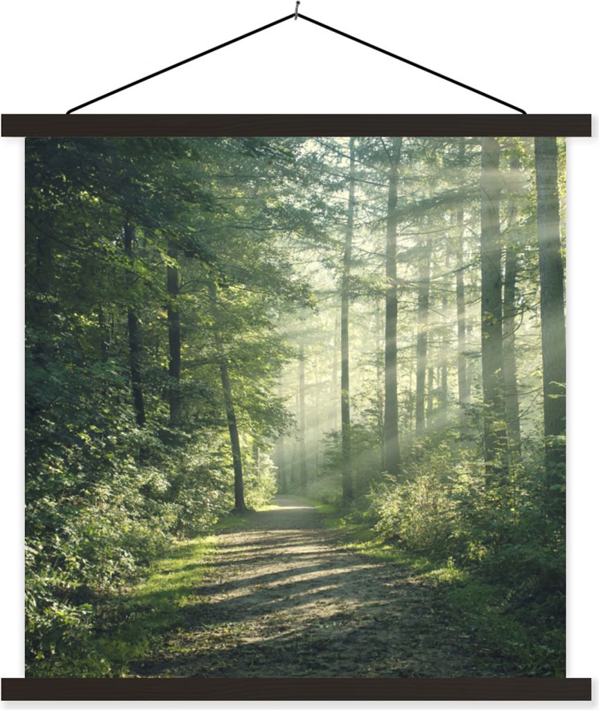 MuchoWow Textilposter Wald - Weg - Sonne - Bäume - Grün - Natur 40x40 cm mit schwarzem Rahmen - Fotos