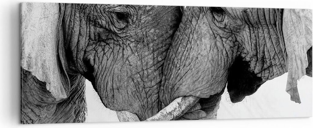 Bild auf Leinwand - Leinwandbild - Einteilig - Elefanten Safari Bond - 140x50cm - Wand Bild - Wanddeko - Wandbilder - Leinwanddruck - Bilder - Wand...