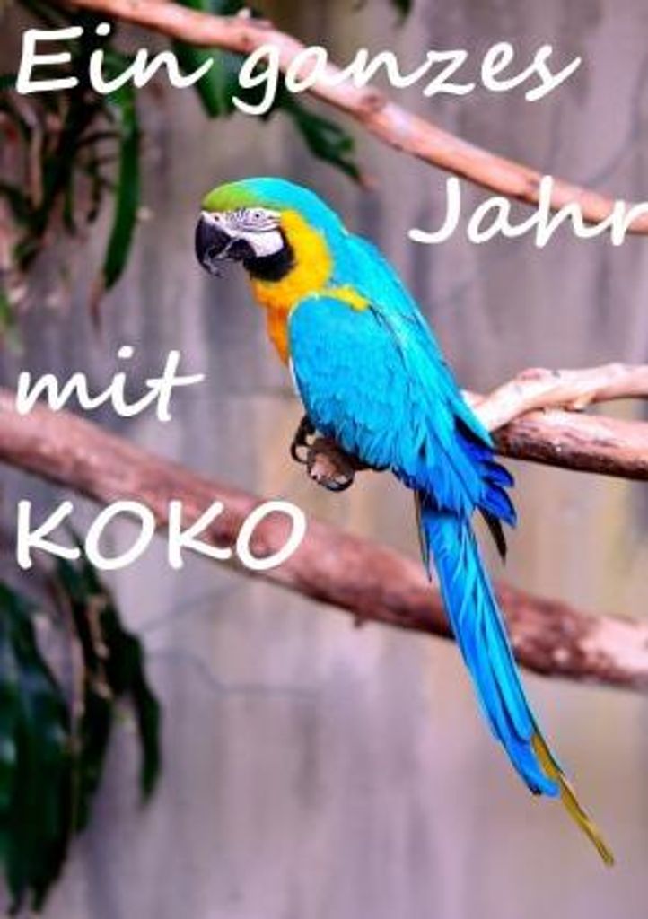 Koko: Buch über den 12-jährigen Ara, der Menschen- und Tiersprache versteht