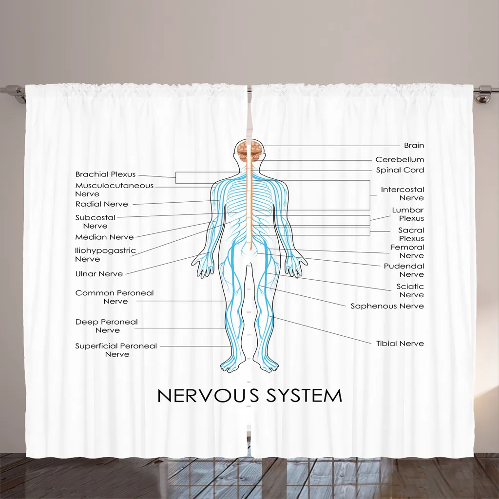 Rideau Rustique Système Nerveux en Tissu Pastel avec Crochets 280x225 cm