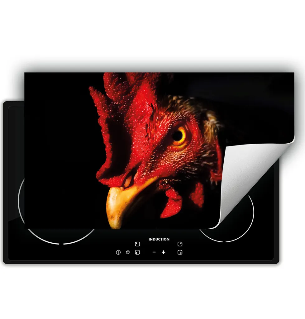 Offerta DarHaus Piastra 90x52 cm Copri Piano Cottura Avvolgibile Nero