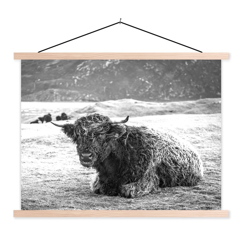 MuchoWow Textilposter Schottischer Highlander - Berg - Tiere 120x90 cm mit holzfarbenen Rahmen - Magnetisch