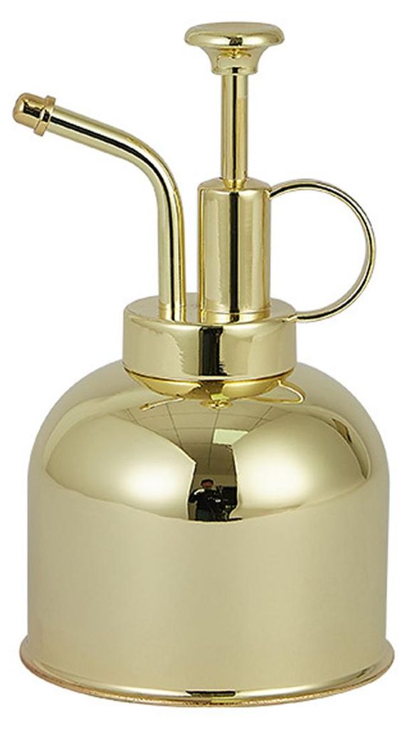 Edelstahl Pflanzensprüher Messingfarbene Sprühflasche 300 ml für Pflanzenpflege Innen & Außen