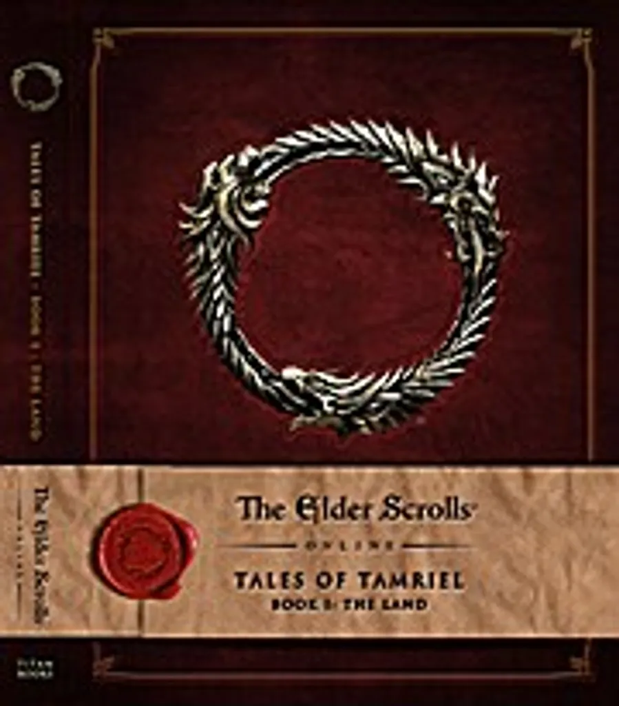 The Elder Scrolls Online jeu RPG immersif pour jouer seul ou en guilde
