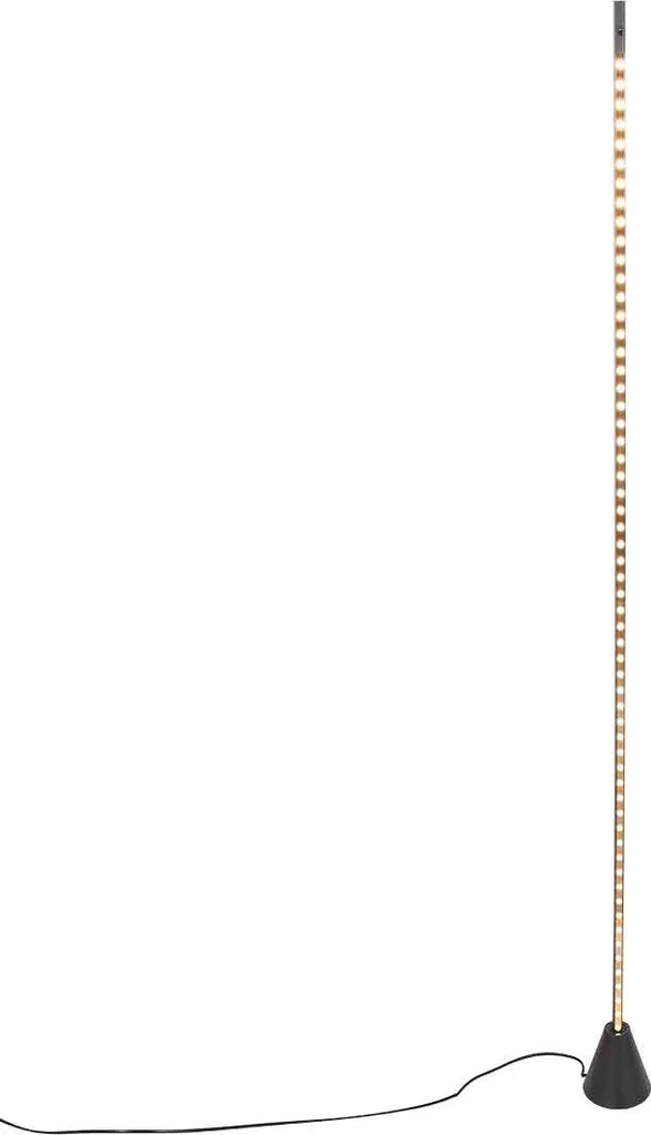 Lampadaire de Salon LED en Métal Noir LuzHaz Steinhauer Ø 10cm Design