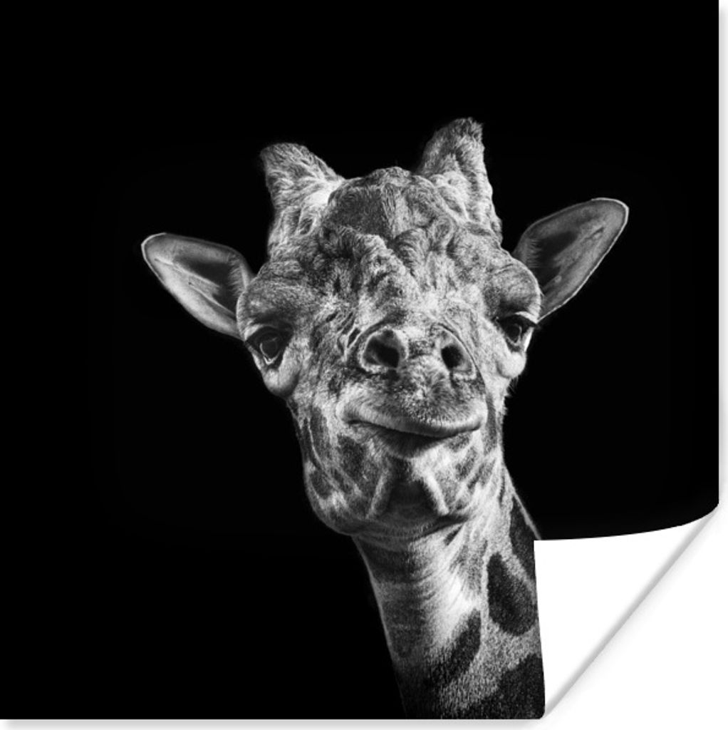 MuchoWow Poster Giraffe vor schwarzem Hintergrund in schwarz und weiß 30x30 cm - Wandposter - Printing
