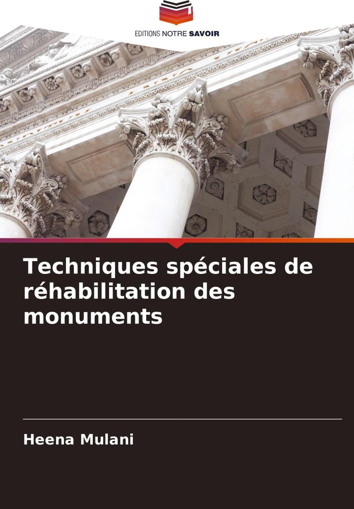 Techniques spéciales de réhabilitation des monuments