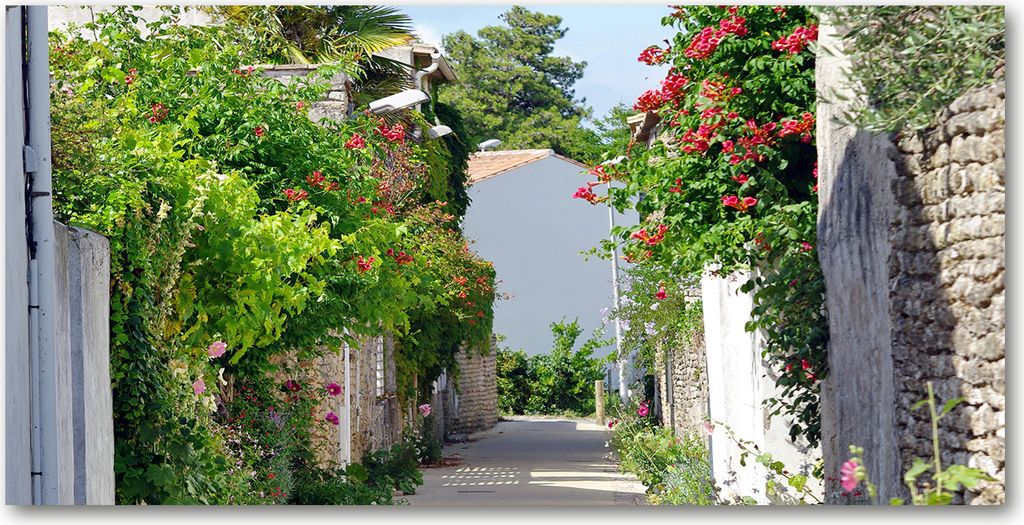 Tulup Leinwandbild -100x50 cm - Wandkunst - Drucke auf Leinwand - Leinwanddruck - Landschaften - Grün - Blumige Gasse