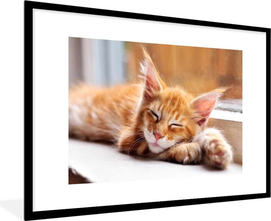 MuchoWow Gerahmtes Poster Orangefarbene Maine Coon Katze liegt auf der Fensterbank 90x60 cm - Poster mit Schwarzem Bilderrahmen Wandposter Rahmen...